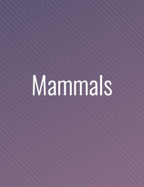 Mammals