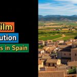 Top Film Distribution Companies in Spain