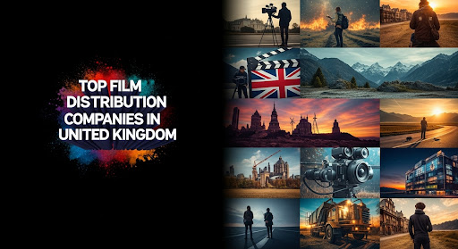 Top Film Distribution Companies in United Kingdom