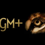 MGM+'s In-Development and In-Production Projects