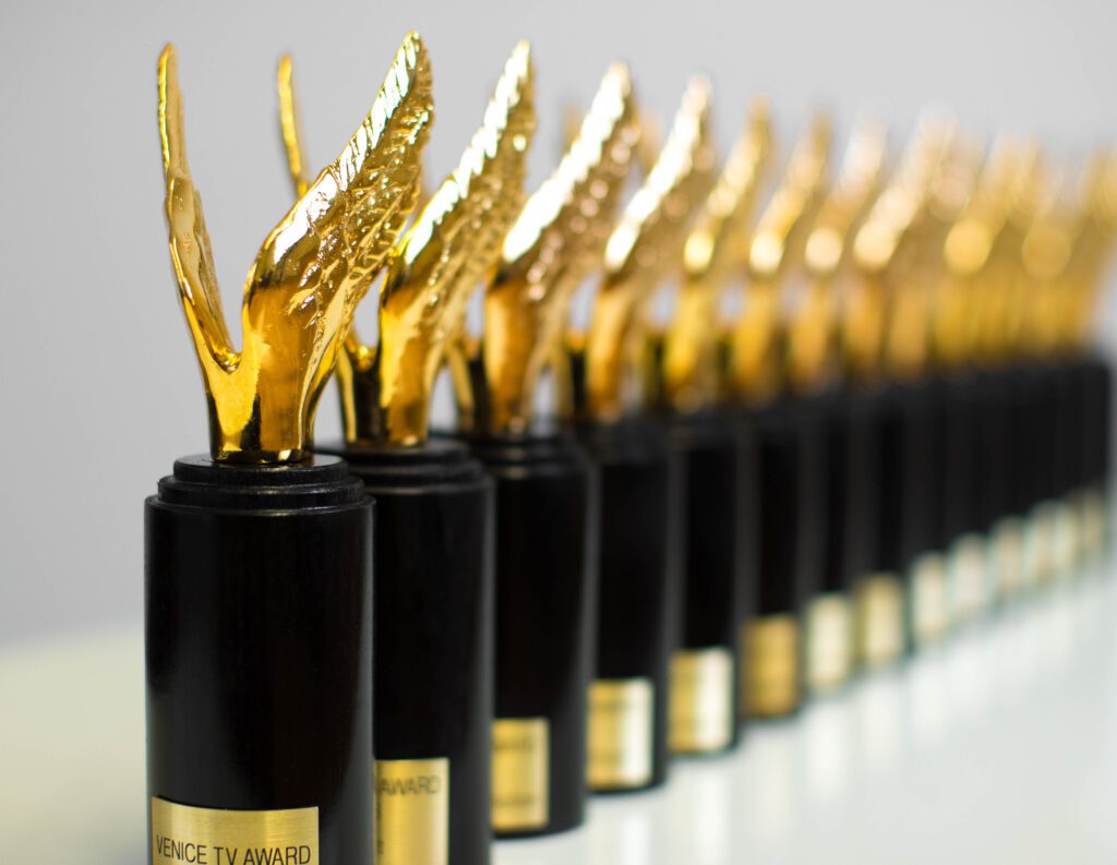 Winners Announced for Venice TV Award 2025