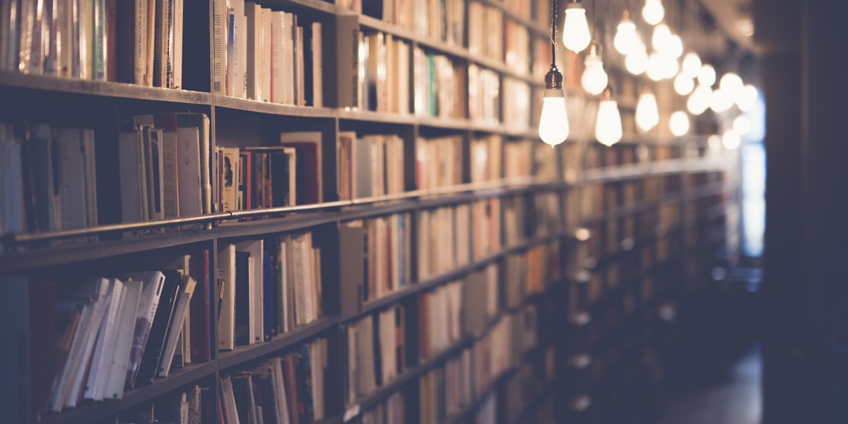 Book Adaptations: Why Hollywood Keeps Turning to Literature 3 Books and film adaptation storytelling in Hollywood