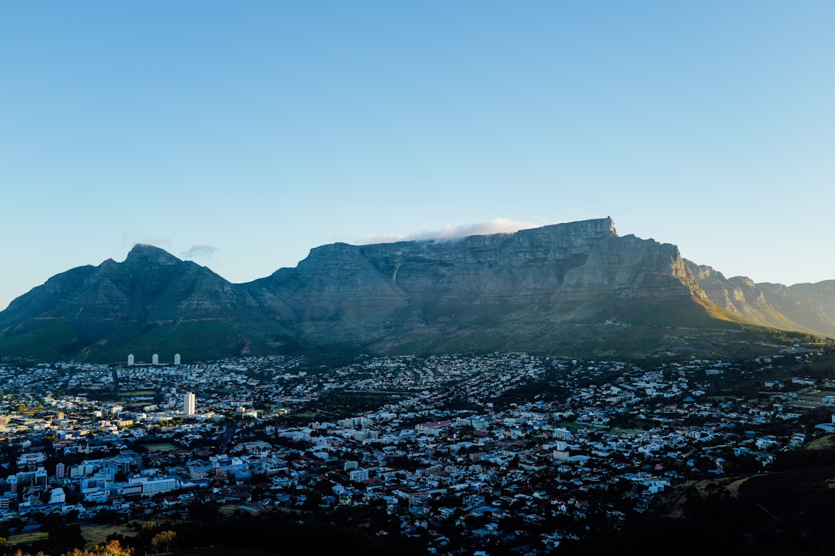 Top Animation Companies in South Africa in 2026: Complete Directory 5 Top animation companies - south-africa
