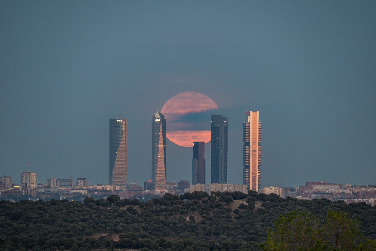 Top animation companies - spain