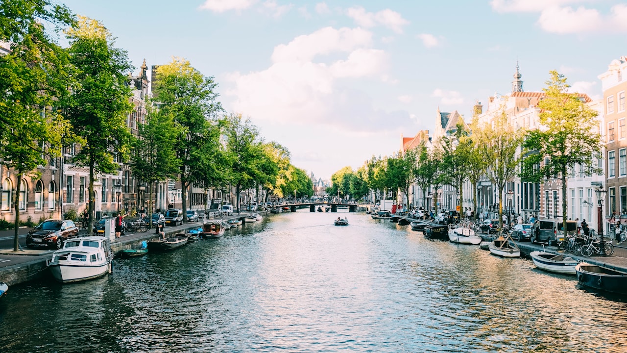 top vfx companies netherlands